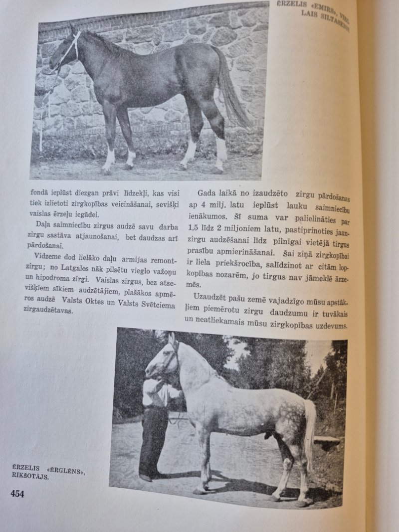 Grāmatas atvērums par zirgiem, augšpusē zirgs brūnā krāsā, apakšpusē gaišā tonī